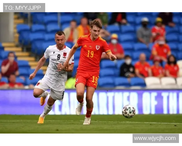 足球星签卡收藏价值与市场趋势深度解析